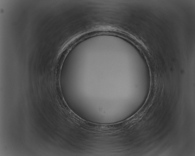 X0000087531311200704270847