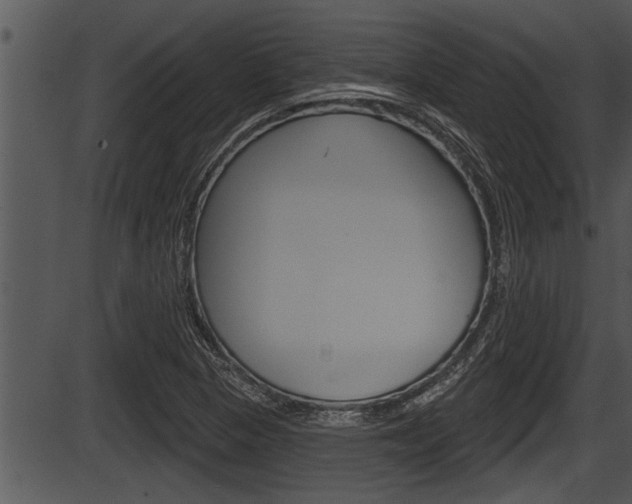 X0000087531313200704270847