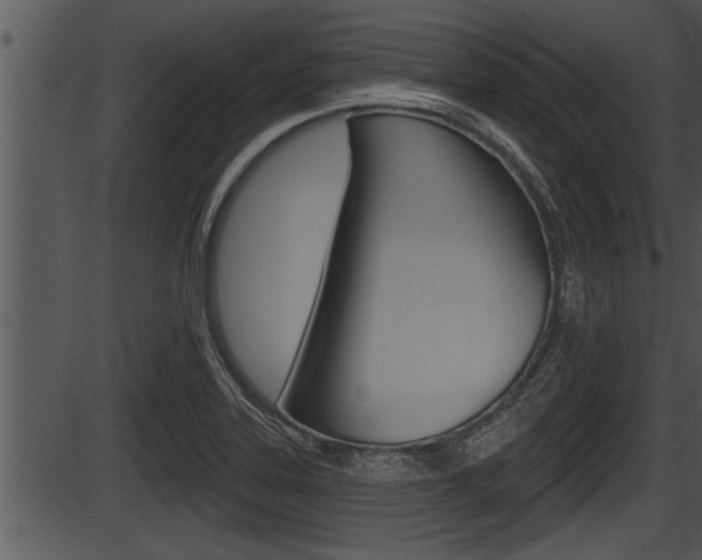 X0000087531323200704270847