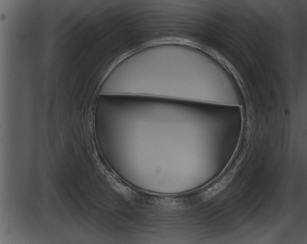 X0000087531329200704270847
