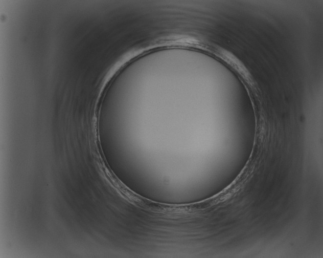 X0000087531332200704270847
