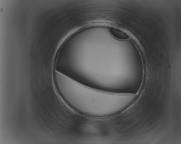 X0000087531333200704270847
