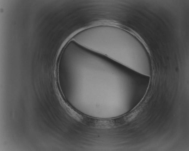 X0000087531339200704270847