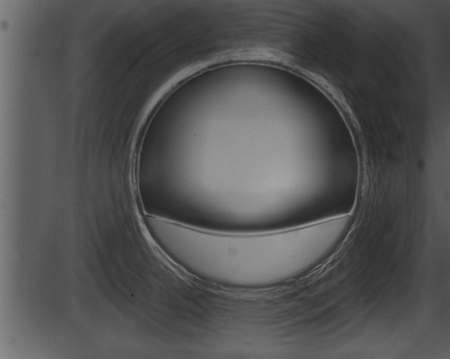 X0000087531342200704270847
