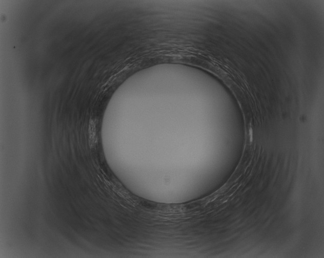 X0000087531347200704270847
