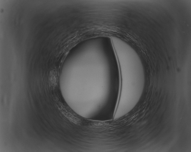 X0000087531348200704270847