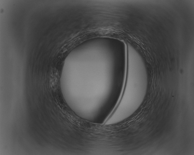X0000087531349200704270847