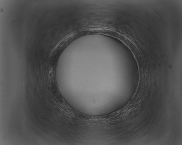 X0000087531351200704270847