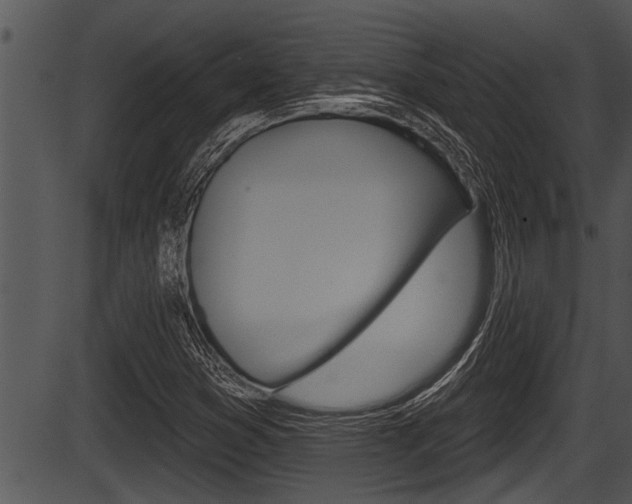 X0000087531353200704270847