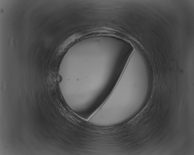 X0000087531355200704270847