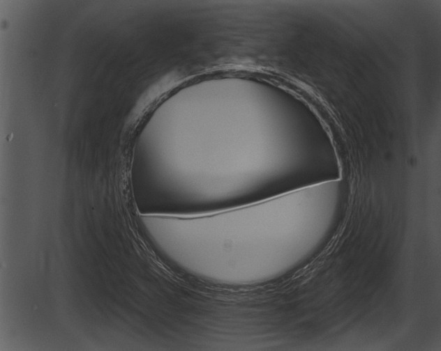 X0000087531359200704270846
