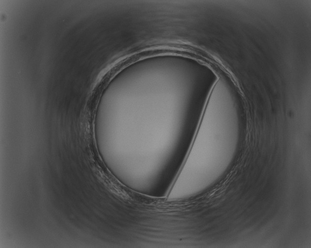 X0000087531360200704270846