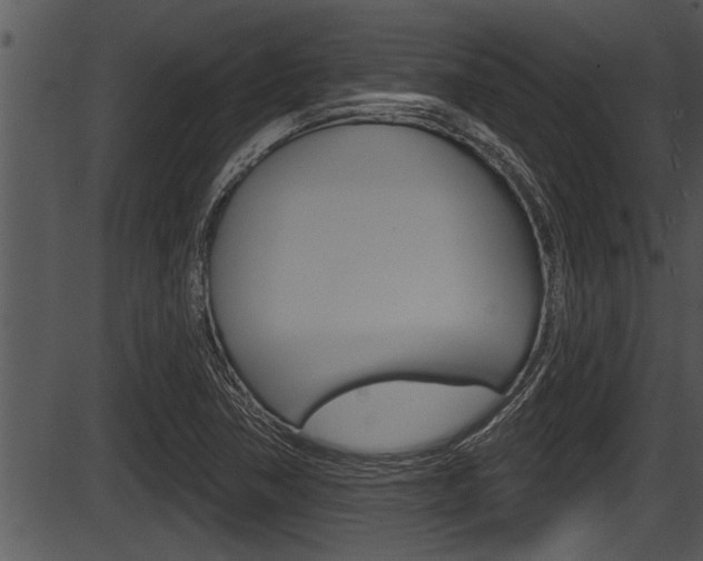 X0000087531362200704270846