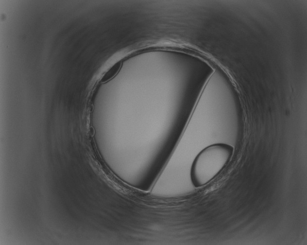 X0000087531367200704270846