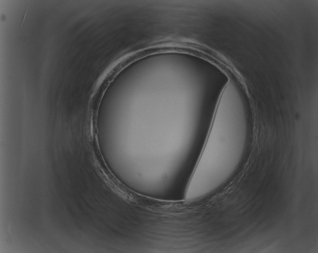 X0000087531368200704270846