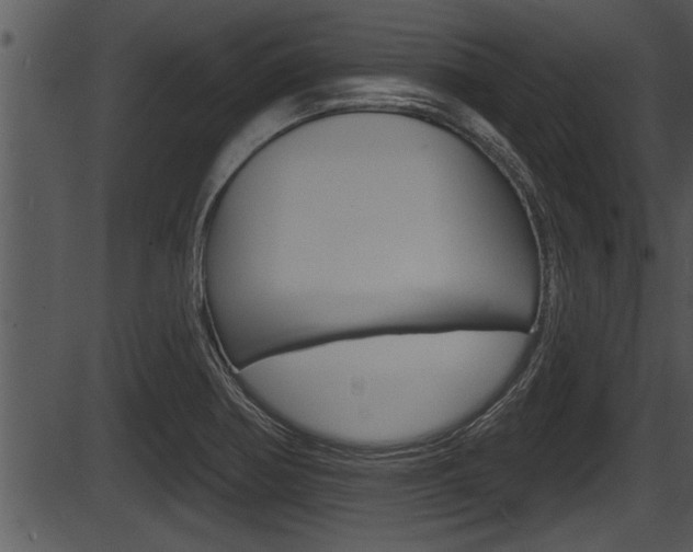 X0000087531370200704270846