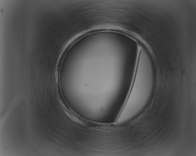 X0000087531372200704270846