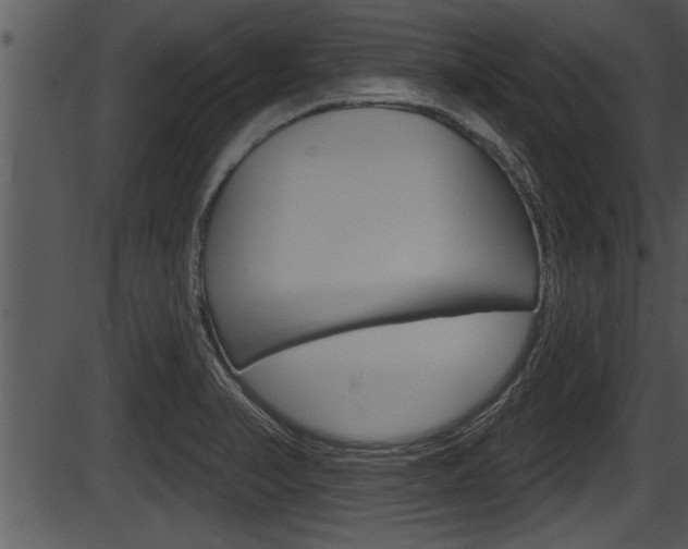X0000087531374200704270846
