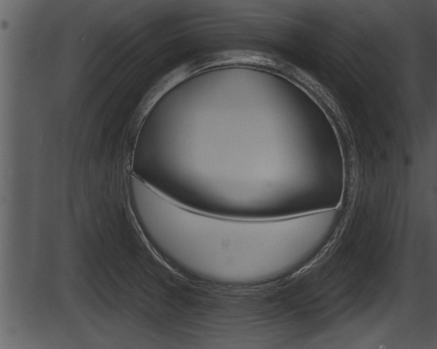 X0000087531377200704270846