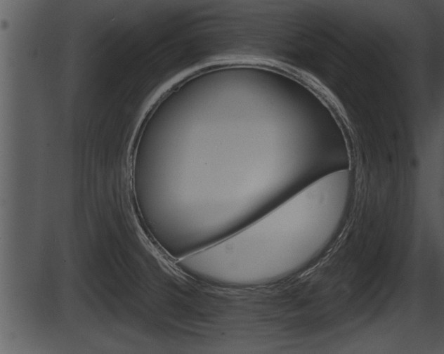 X0000087531380200704270846