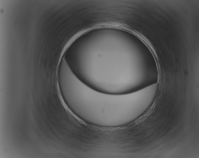 X0000087531389200704270846