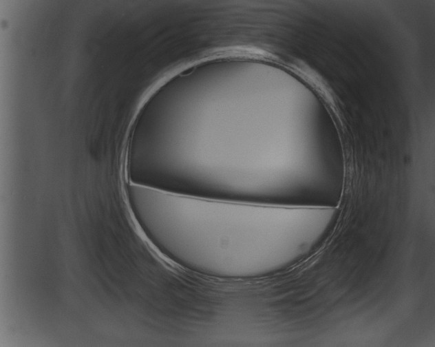X0000087531391200704270846