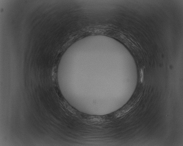 X0000087531395200704270845