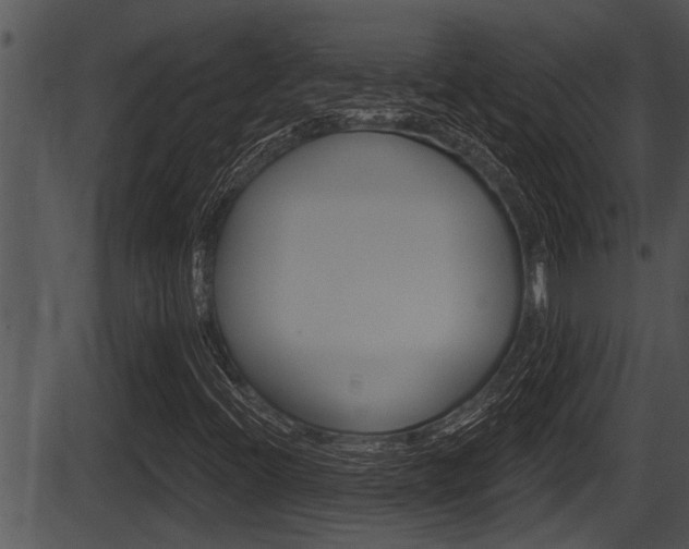 X0000087531396200704270845