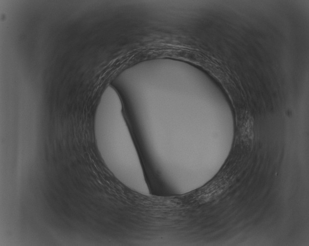 X0000087531397200704270845