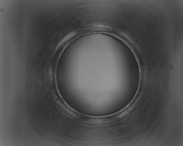 X0000087531402200704270845