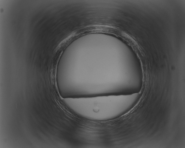 X0000087531403200704270845