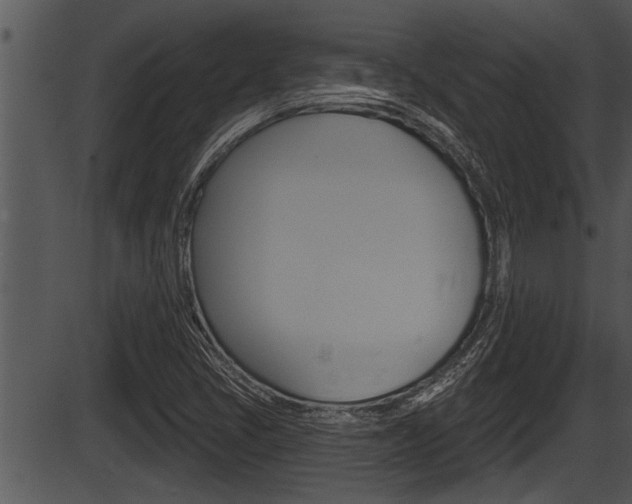 X0000087531405200704270845