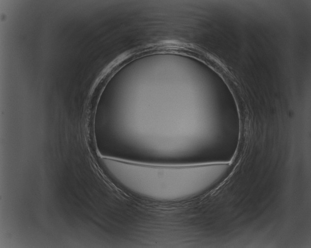 X0000087531410200704270845