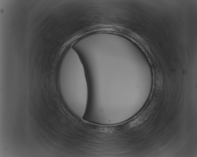 X0000087531411200704270845