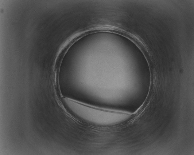 X0000087531414200704270846