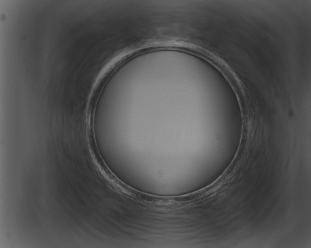 X0000087531416200704270846