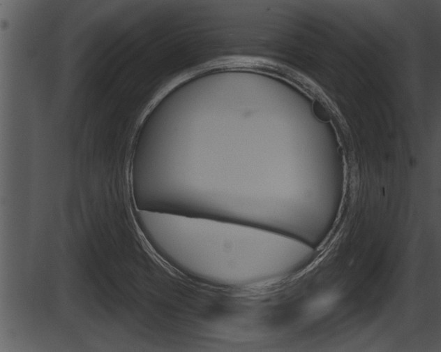 X0000087531417200704270846