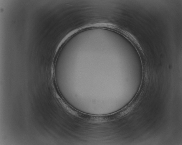 X0000087531420200704270846