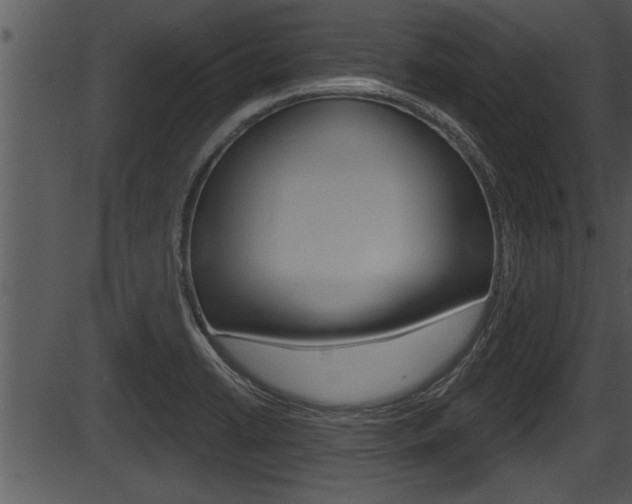 X0000087531422200704270846