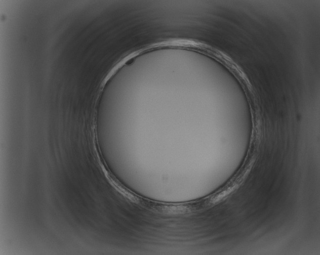 X0000087531425200704270846