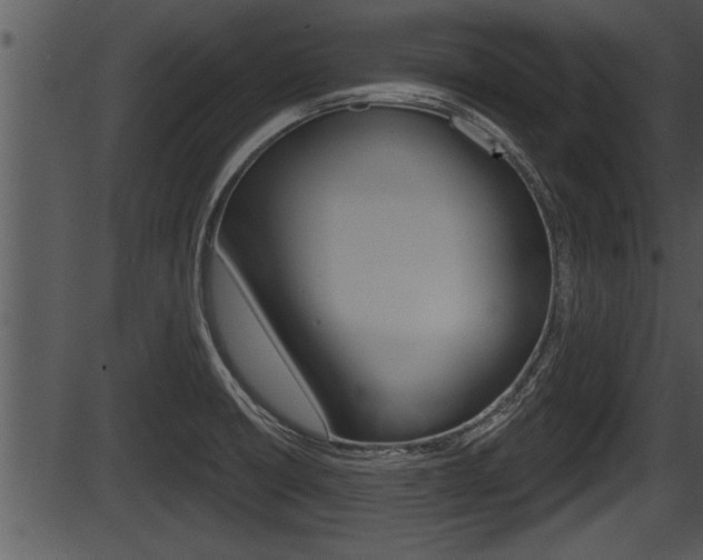 X0000087531426200704270846