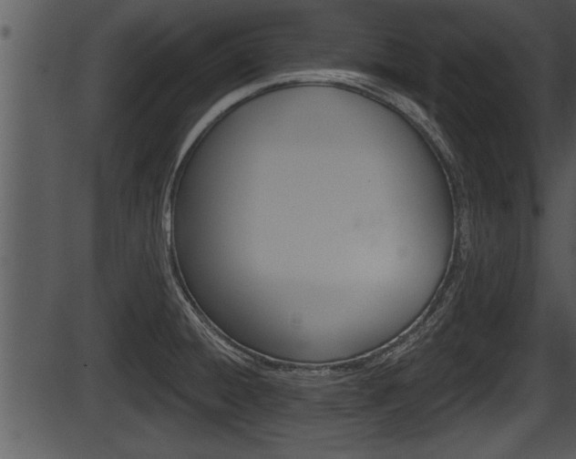 X0000087531428200704270846