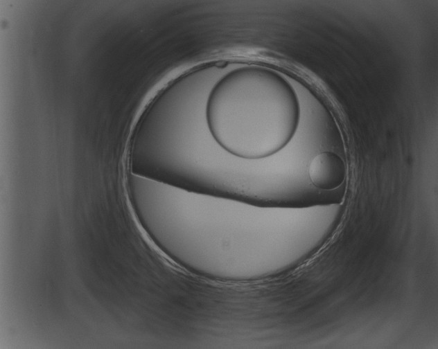 X0000087531432200704270846