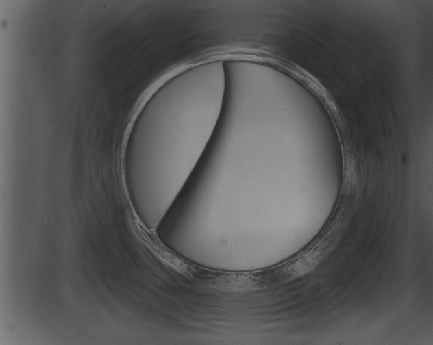 X0000087531435200704270846