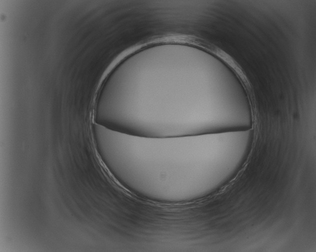 X0000087531436200704270846