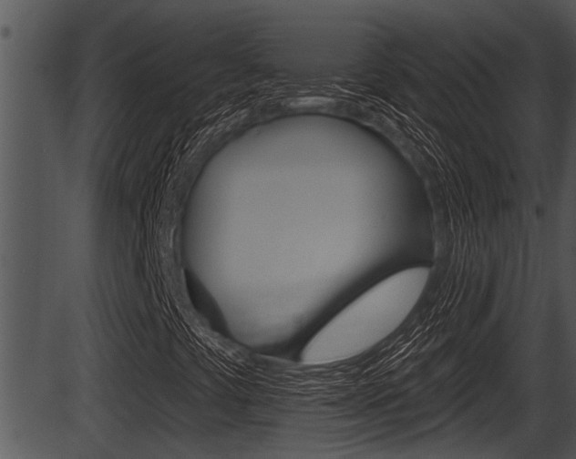 X0000087531441200704270845