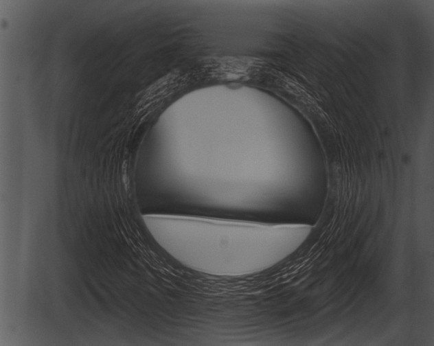 X0000087531442200704270845