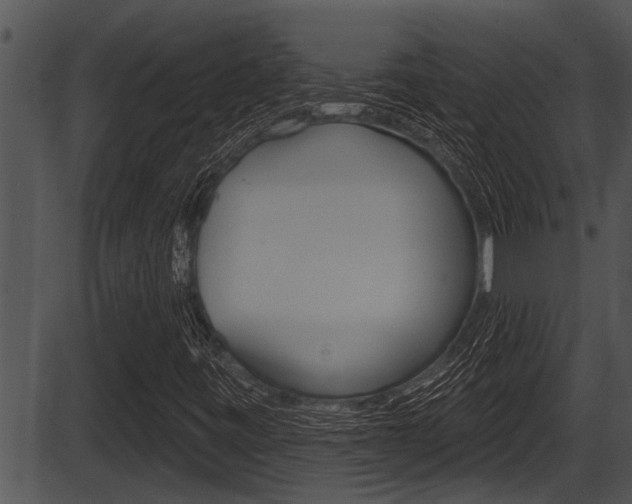 X0000087531443200704270845