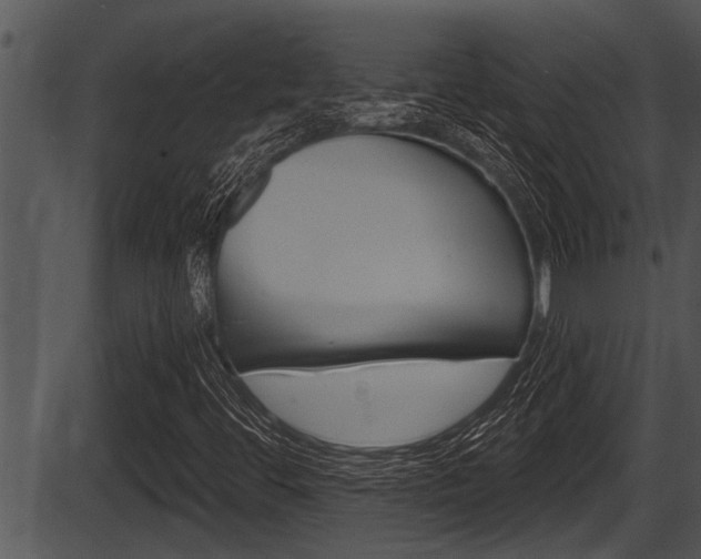 X0000087531444200704270845