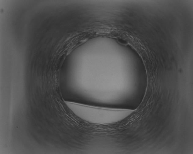 X0000087531445200704270845